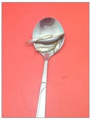 养生食谱大放送