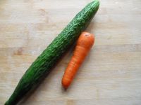 养生食谱大放送