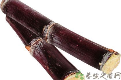 什么水果对肺好?介绍10种养肺水果