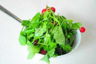 橙汁<a href=/shicai/shucai/LuoBoMiao/index.html target=_blank><u><a href=/shicai/shucai/LuoBo/index.html target=_blank><u>萝卜</u></a>苗</u></a>