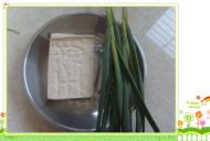 养生食谱大放送