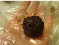 <a href=/shicai/guopin/ManYueMei/index.html target=_blank><u>蔓越莓</u></a>松露<a href=/shicai/mimian/QiaoKeLi/index.html target=_blank><u>巧克力</u></a>步骤6