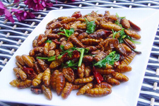 <a href=/shicai/yaoshi/CanYong/index.html target=_blank><u>蚕蛹</u></a>怎么做好吃