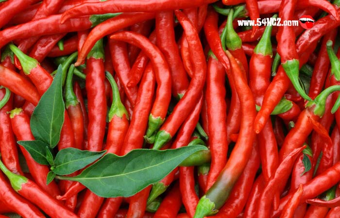 <a href=/shicai/shucai/LaJiao/index.html target=_blank><u>辣椒</u></a>价格3