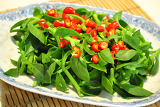 <a href=/shicai/shucai/ChuanXinLian/index.html target=_blank><u>穿心莲</u></a>的做法