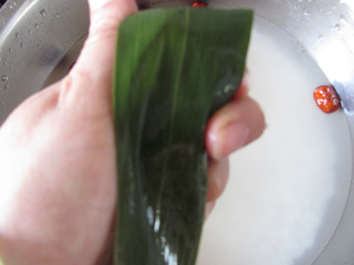 迷你红<a href=/shicai/guopin/Zao/index.html target=_blank><u>枣</u></a>粽子