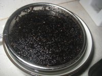 养生食谱大放送