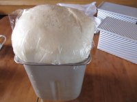 养生食谱大放送