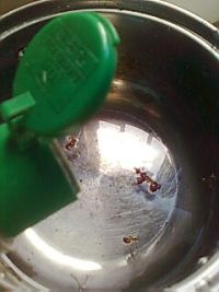 养生食谱大放送