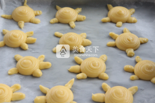 乌龟酥皮泡芙