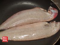 养生食谱大放送