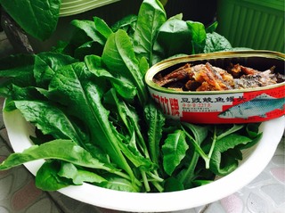 <a href=/shicai/shuichanpin/LingYu/index.html target=_blank><u>鲮鱼</u></a>麦菜