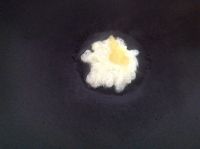 养生食谱大放送