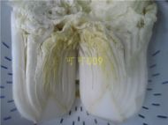 养生食谱大放送