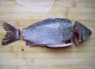 养生食谱大放送