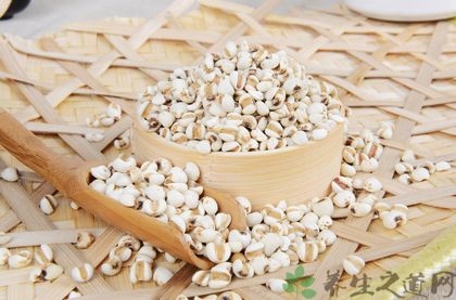 哪些人不能吃<a href=/shicai/mimian/YiMi/index.html target=_blank><u>薏米</u></a>