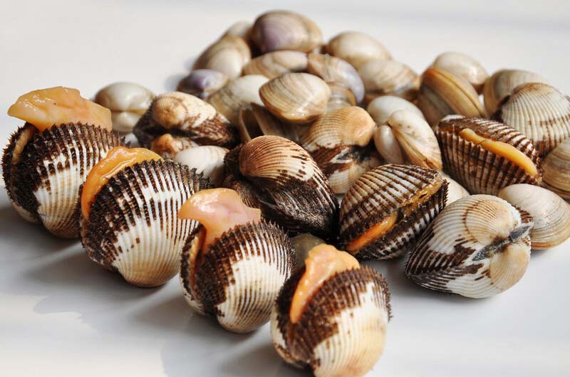 <a href=/shicai/shuichanpin/HaLi/index.html target=_blank><u>蛤蜊</u></a>疙瘩汤的做法3