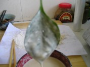 养生食谱大放送