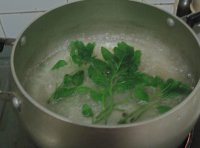 养生食谱大放送