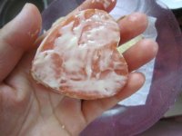 养生食谱大放送