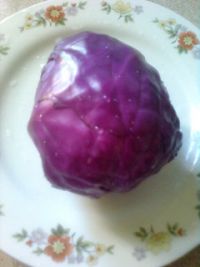 养生食谱大放送