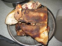 养生食谱大放送