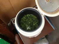 养生食谱大放送