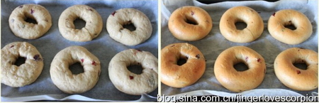 全麦<a href=/shicai/guopin/ManYueMei/index.html target=_blank><u>蔓越莓</u></a>贝果步骤15-16