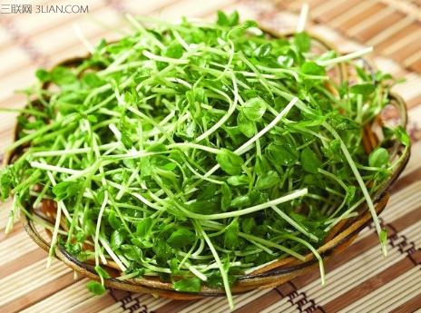 <a href=/shicai/shucai/DouMiao/index.html target=_blank><u>豆苗</u></a>的营养价值