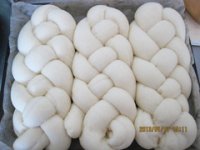 养生食谱大放送