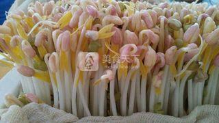 在家自制<a href=/shicai/mimian/LvDou/index.html target=_blank><u>绿豆</u></a>芽