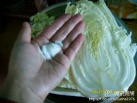 养生食谱大放送