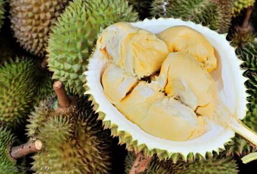 <a href=/shicai/guopin/LiuLian/index.html target=_blank><u>榴莲</u></a>吃太多会怎么样