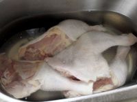 养生食谱大放送