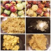 养生食谱大放送