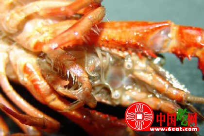 小龙虾怎么洗 
