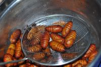 养生食谱大放送