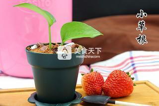 盆栽<a href=/shicai/mimian/SuanNai/index.html target=_blank><u>酸奶</u></a>