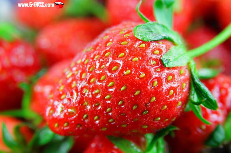 <a href=/shicai/guopin/CaoMei/index.html target=_blank><u>草莓</u></a>怎么洗2