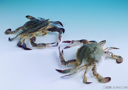 <a href=/shicai/shuichanpin/HaiXie/index.html target=_blank><u>海蟹</u></a>的营养价值