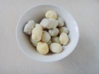 养生食谱大放送