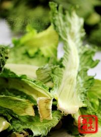 养生食谱大放送