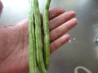 养生食谱大放送