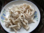 养生食谱大放送