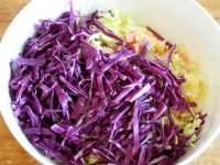 养生食谱大放送