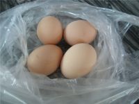 养生食谱大放送