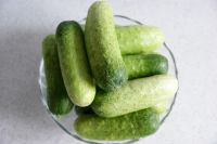 养生食谱大放送