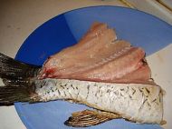 养生食谱大放送