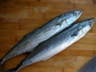 养生食谱大放送