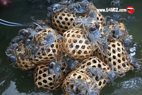 <a href=/shicai/shuichanpin/HeXie/index.html target=_blank><u>河蟹</u></a>死了还能吃吗1